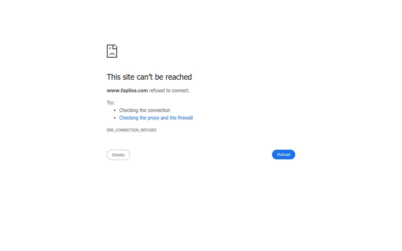 Vista mini Web: https://www.faplisa.com/