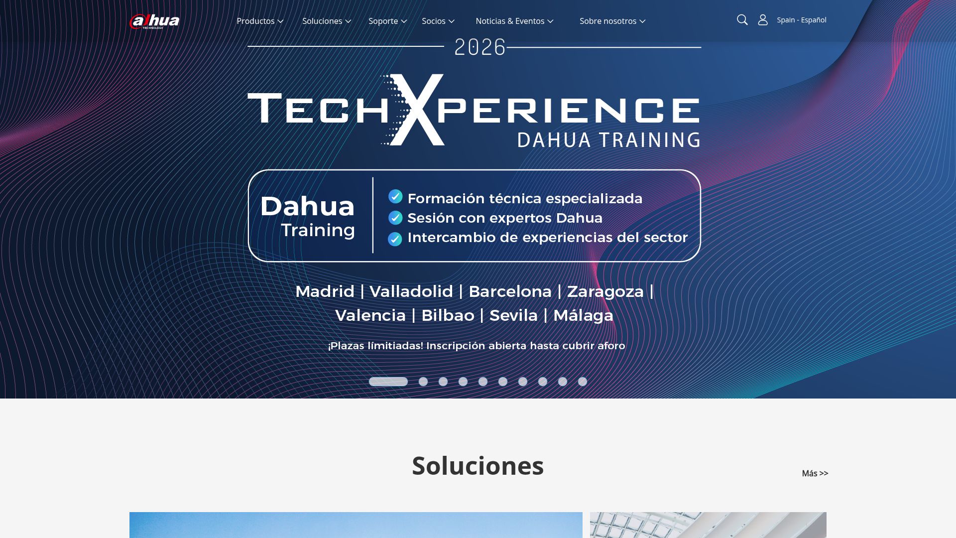 Vista mini Web: https://www.dahuasecurity.com/es/