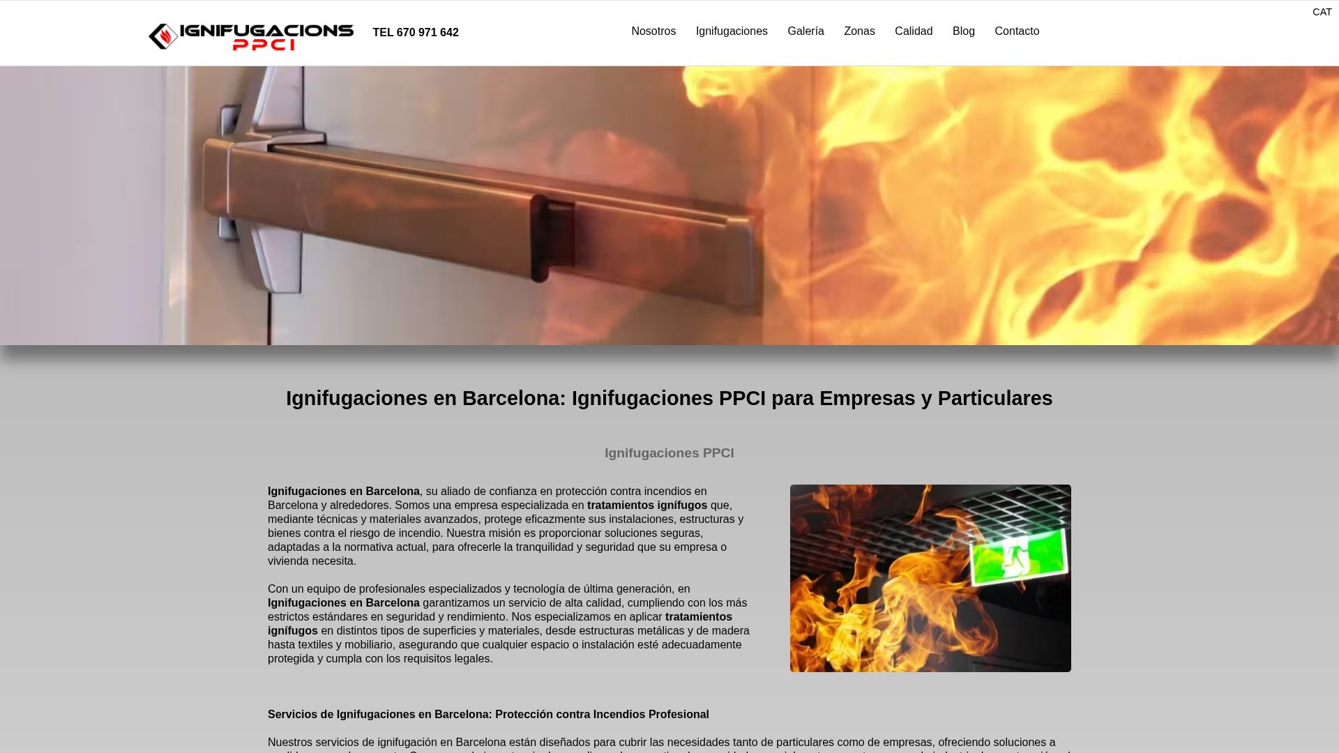 Vista mini Web: https://www.ignifugacionesppci.com/