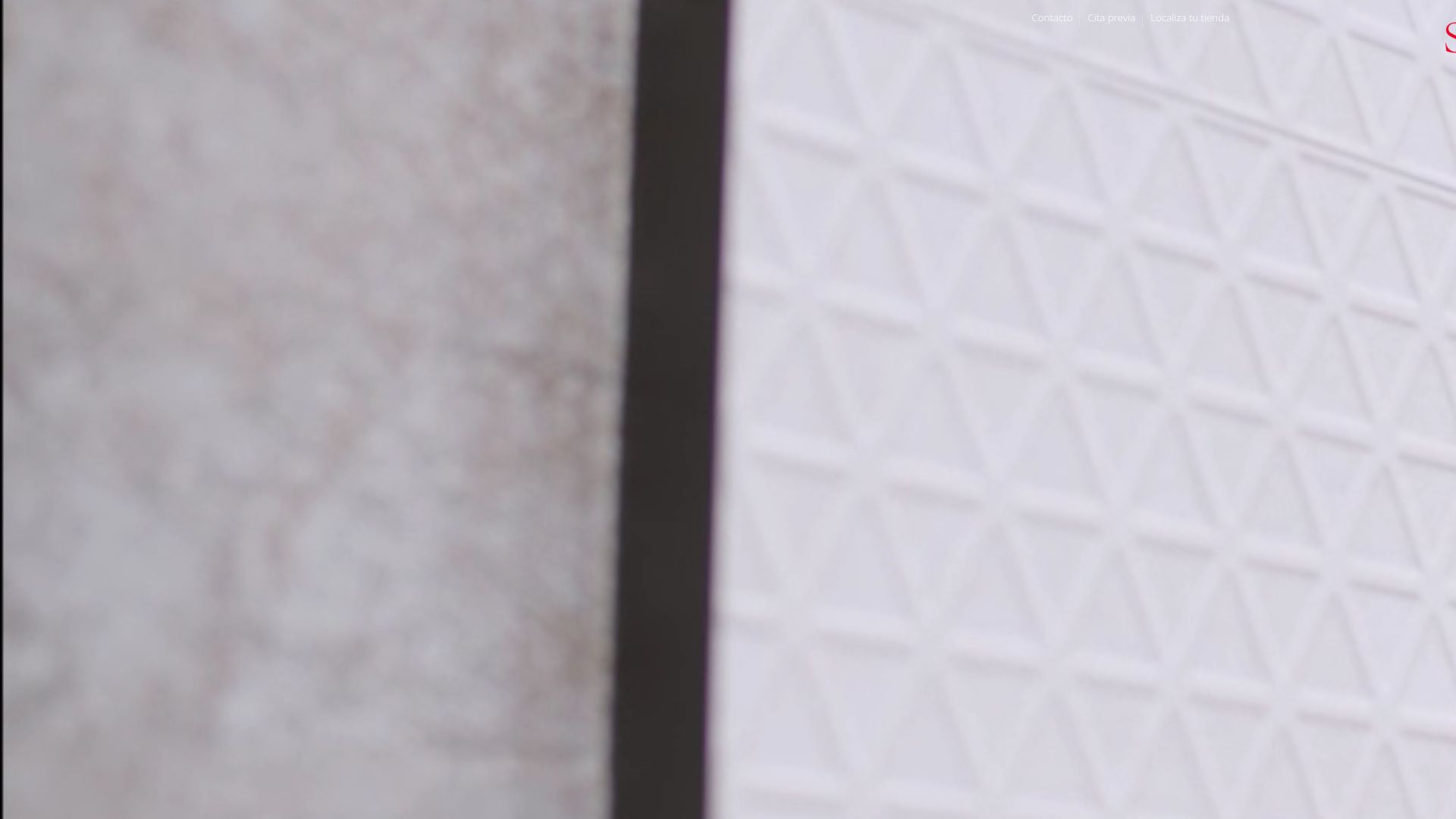 Vista mini Web: https://www.saloni.com